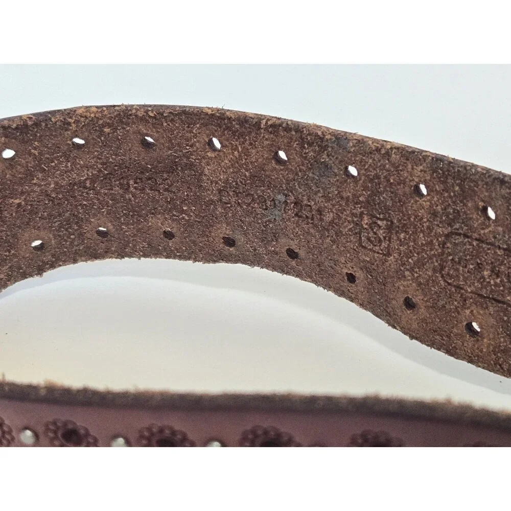 Fossil belt brown